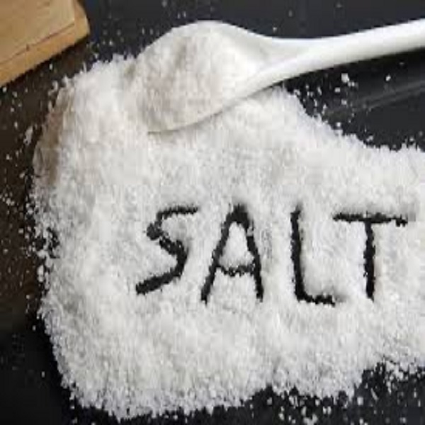 Guru 23 – Salt cover