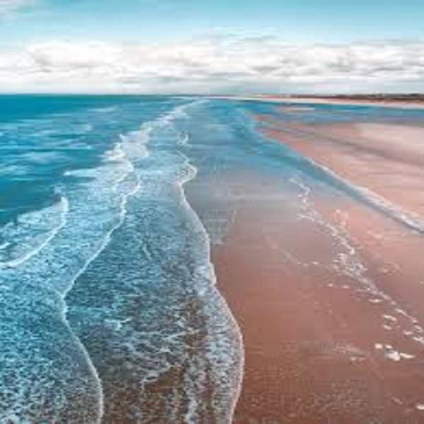 Guru 7 – Sea cover