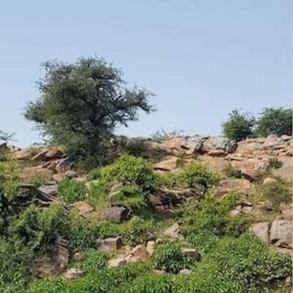Map of Govardhan resource cover