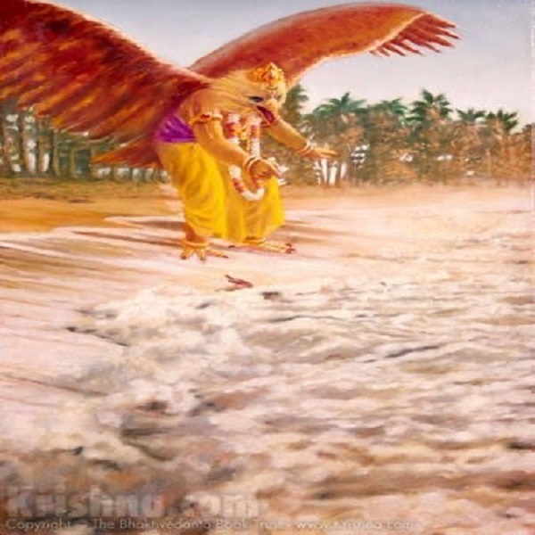 Sparrow and the Garuda cover